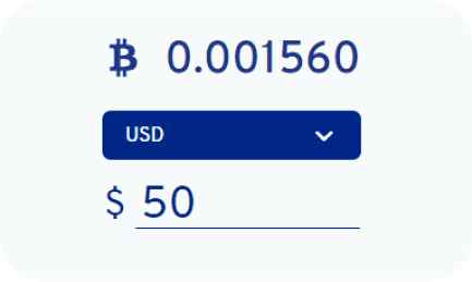 Bitcoin Price